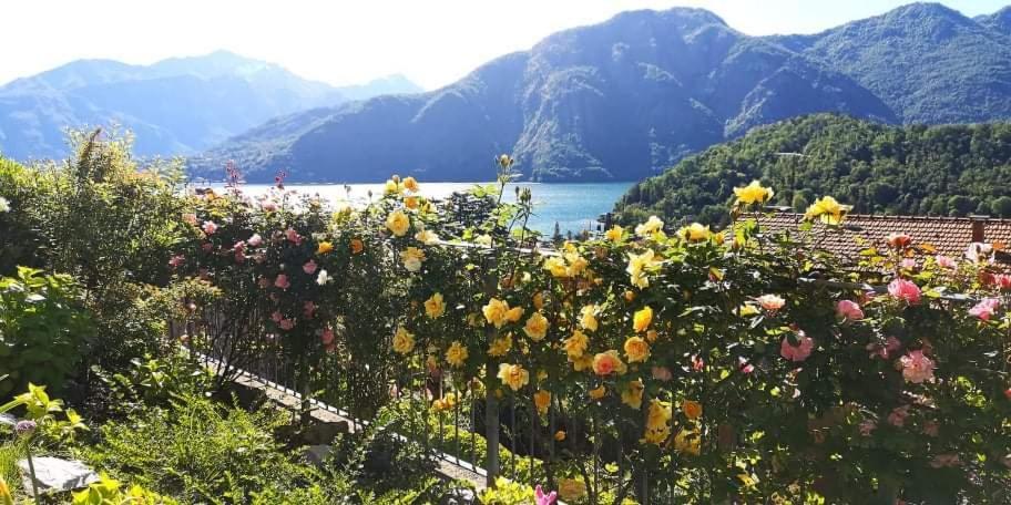 Magic Garden With Jacuzzi-Pool And Luxury Lake Como View Lenno Extérieur photo