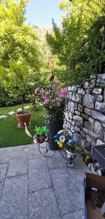 Magic Garden With Jacuzzi-Pool And Luxury Lake Como View Lenno Extérieur photo