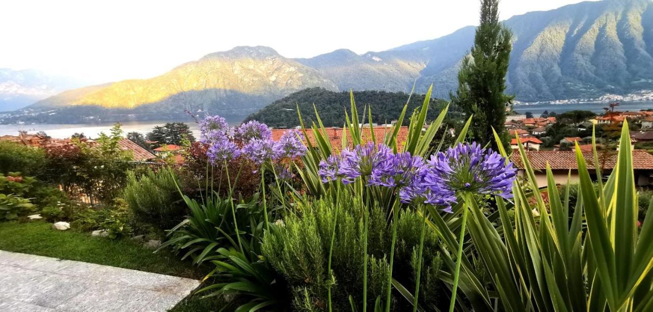 Magic Garden With Jacuzzi-Pool And Luxury Lake Como View Lenno Extérieur photo